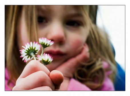 jessemillan-flickr