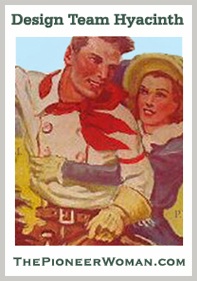 Pioneer Woman Design Team Hyacinth