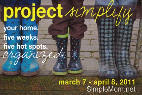 projectsimplify2