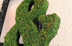 Moss Letters