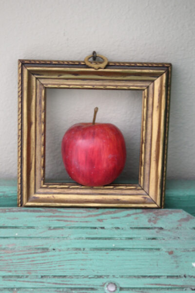 apple in a frame apple in a frame