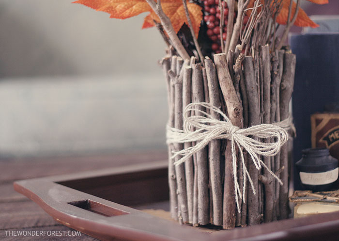 DIY Fall Stick Vase {Wonder Forest}