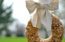 birdseed wreath diy