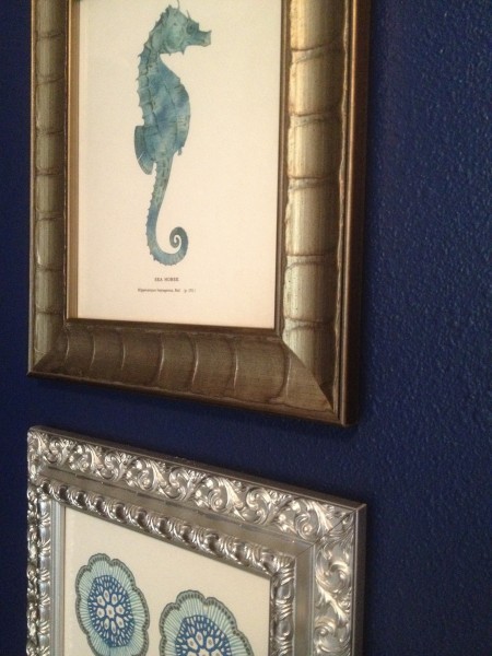 Framed Sea Life Prints