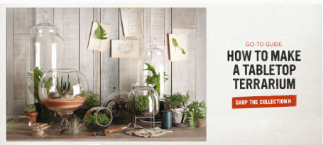 how to make a table top terrarium
