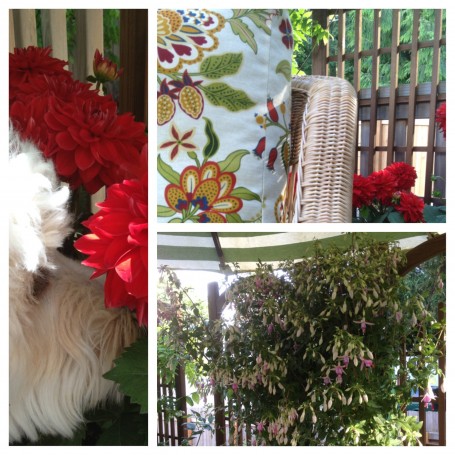 gardening