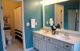 master-bath-after-makeover-shower-curtain