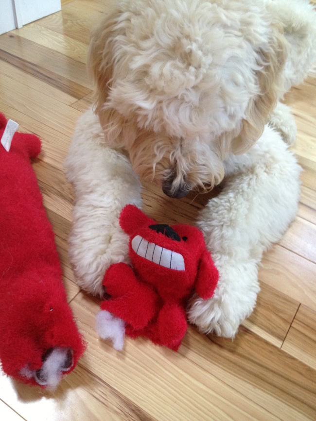 big red 4