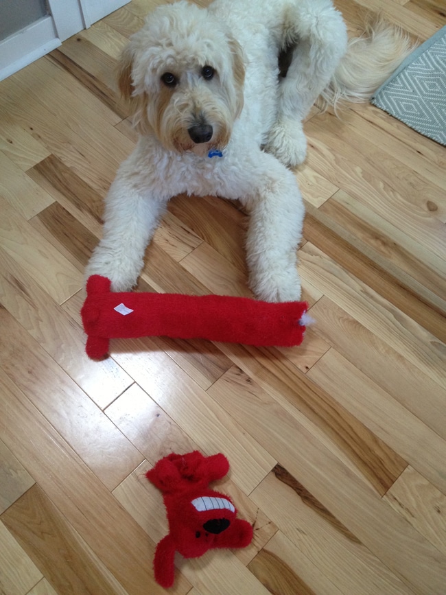 big red 6