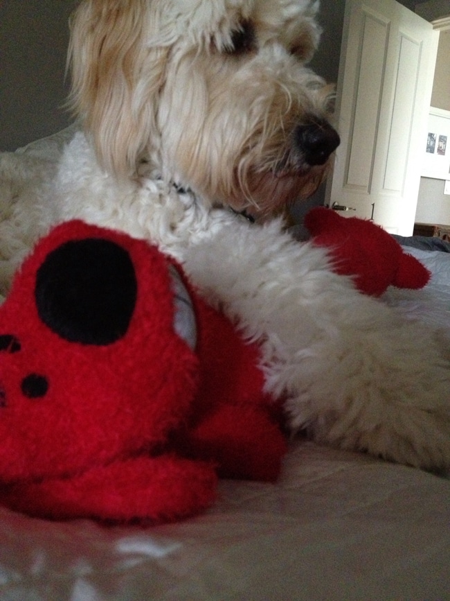 big red2