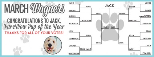 jack pup of the year