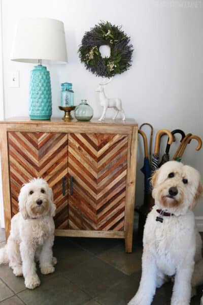Jack the Goldendoodle and Lily the Labradoodle - The Inspired Room