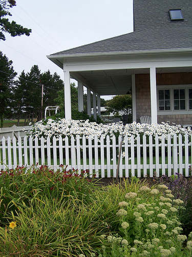 Drive By: Beach Cottages