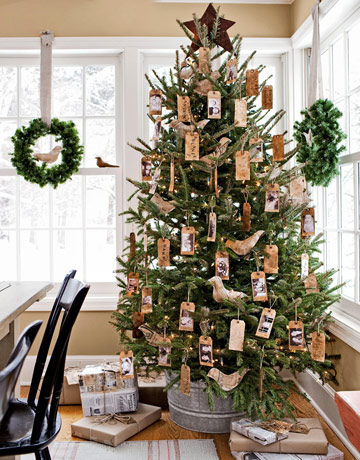 Christmas tree store in bucket