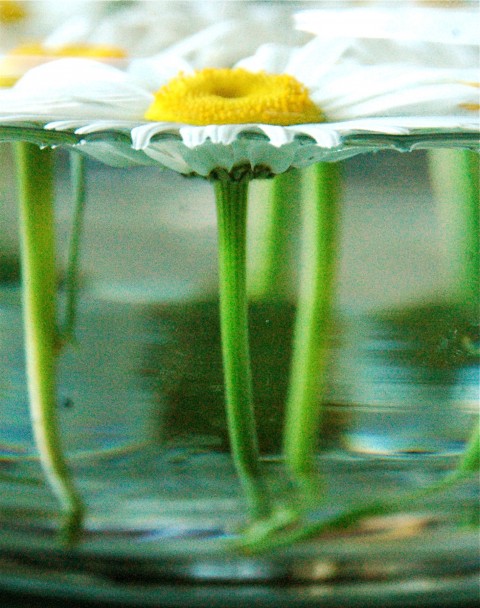 A sweet centerpiece <br>for a summer dinner party! 