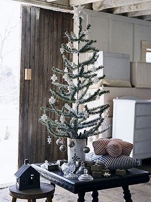 Creative Christmas Trees & Stands