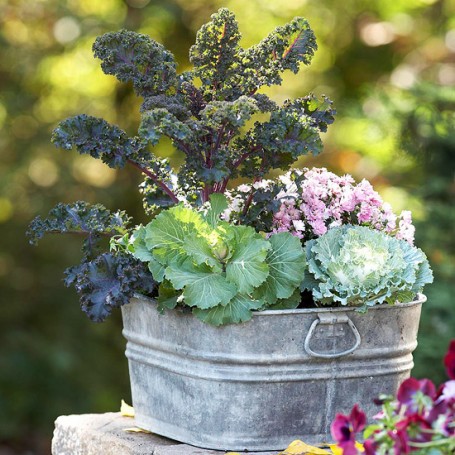 Fall Porch Ideas: 5 Ways to Add Fall Color to the Porch & Garden