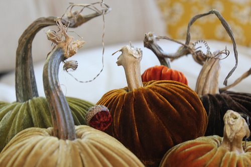 Inspired Holidays {Day 2}:: Plush Pumpkins {A Fall Giveaway}