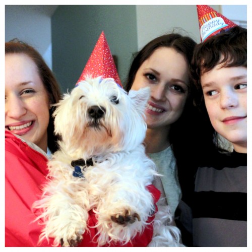One of These Things is Not Like the Others {Winston's Birthday & Weekend Fun}