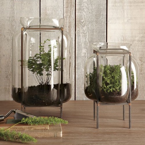 Terrariums {and other Small Space and Urban Gardening Ideas}