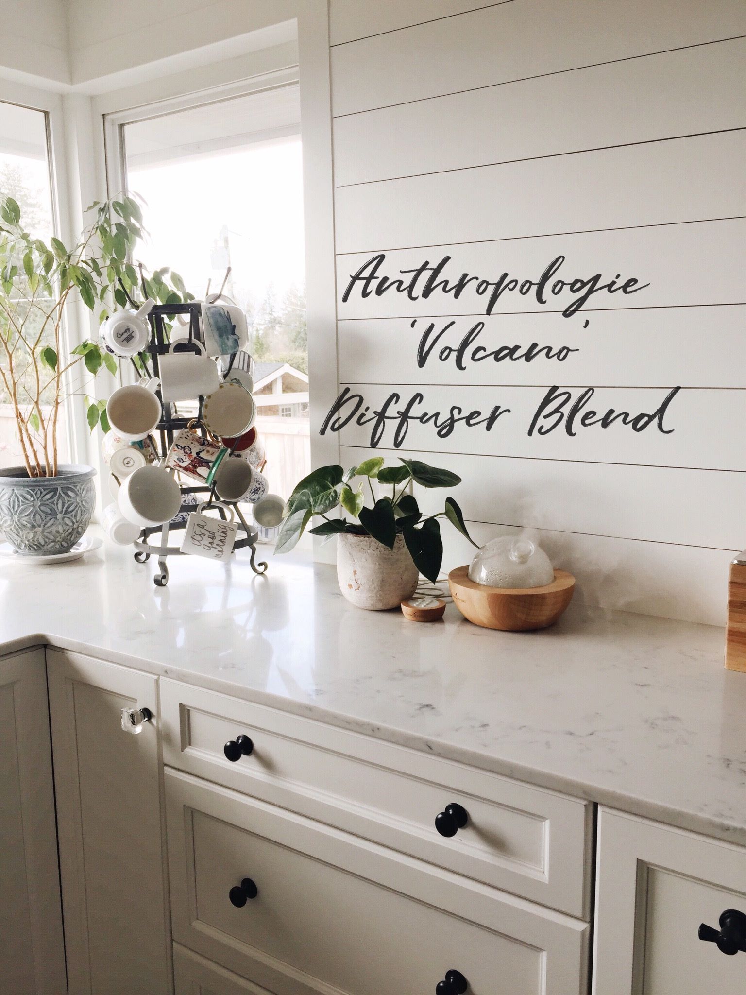 How to Make Your House Smell Like Anthropologie
