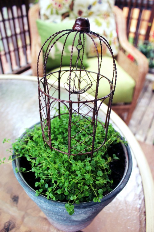 Five {5 Minute} Tiny Gardens You Can Make in a Crate, Pot or Terrarium