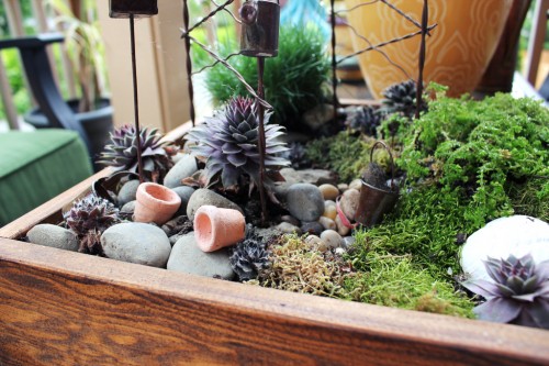 Creative Ways to Enjoy Tiny Gardens