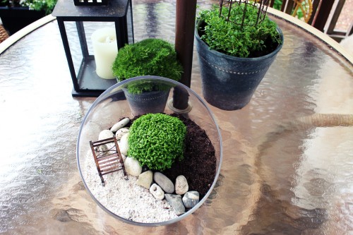 Creative Ways to Enjoy Tiny Gardens