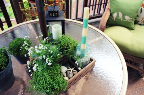 Creative Ways to Enjoy Tiny Gardens