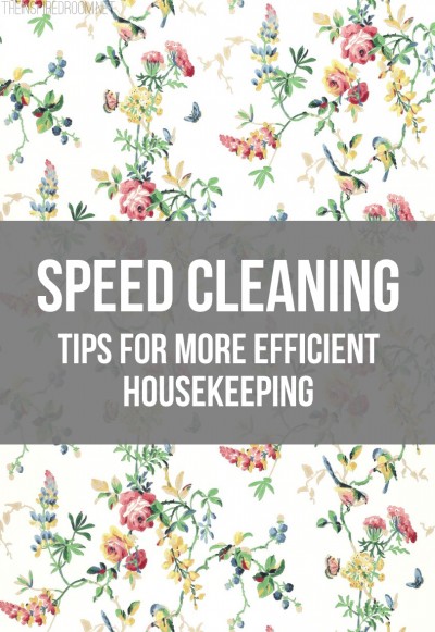 Housekeeping Book - Hints & Tips