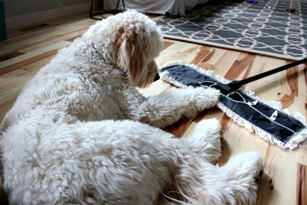 How to Clean Hardwood Floors {My Favorite Tools & Tips}