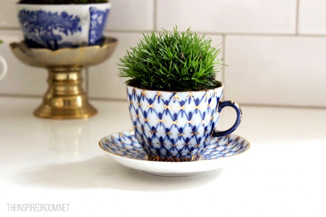 Teacup Gardens {5 Minute Miniature Container Garden}