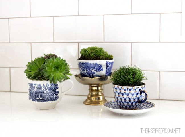 Teacup Gardens {5 Minute Miniature Container Garden}