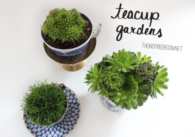 Teacup Gardens {5 Minute Miniature Container Garden}