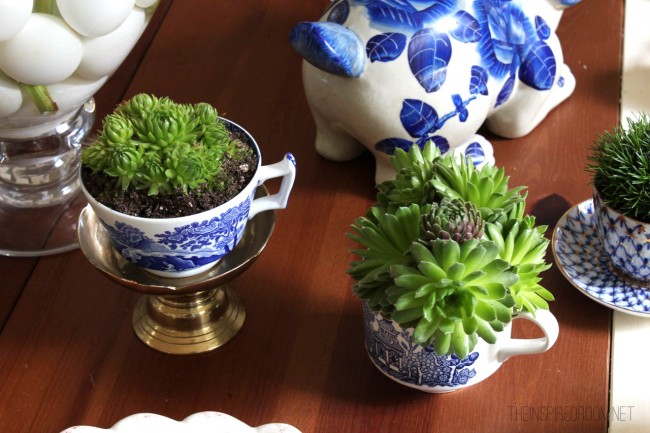 Teacup Gardens {5 Minute Miniature Container Garden}