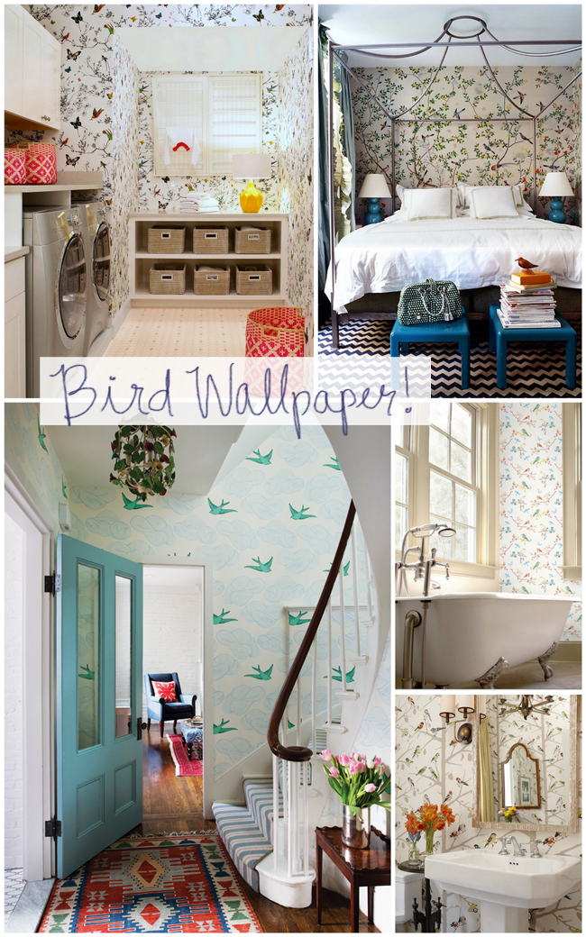 Bird Wallpaper {Put a Bird on It for Spring!}