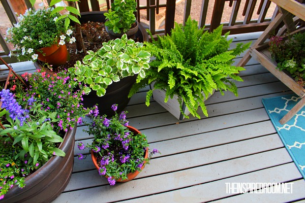 Teacart Plant Stand {and a new finish on the deck!}