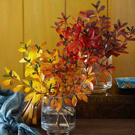 Color Blocking Fall Branches {Easy Fall Decorating Idea}