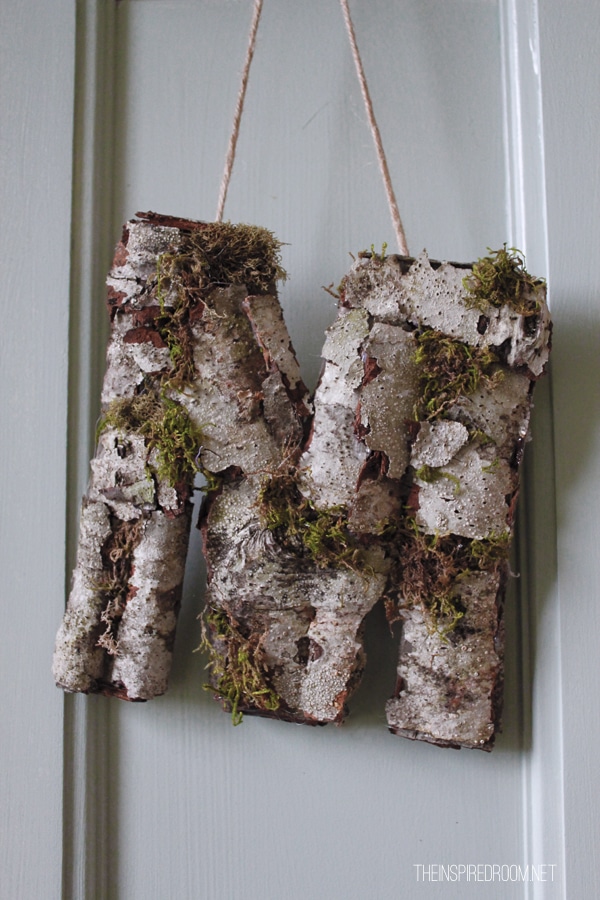 DIY Rustic Birch Bark Monogram