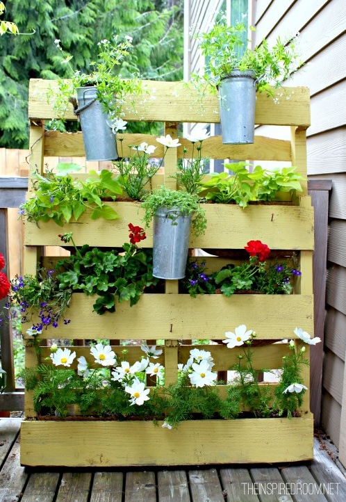 Creative Ways to Enjoy Tiny Gardens