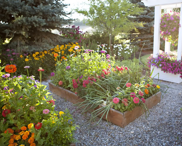 Raised Garden Bed Inspiration