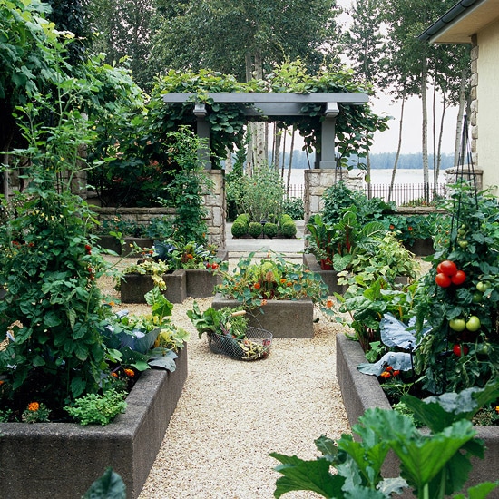 Raised Vegetable Garden Bed