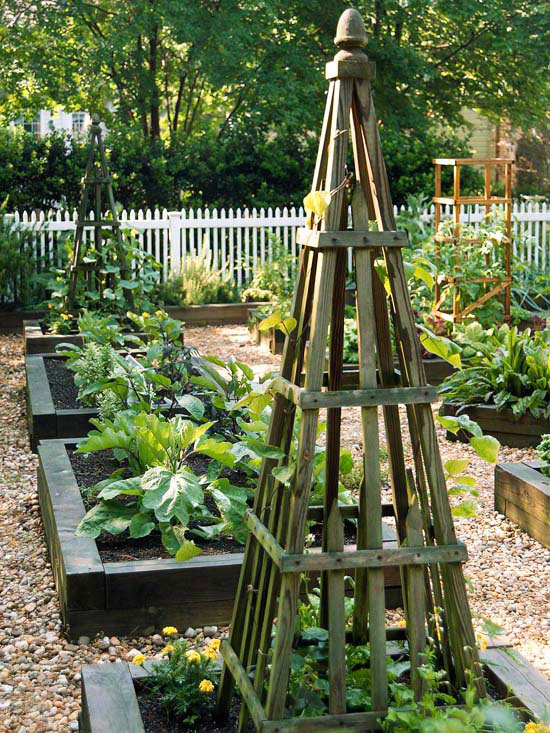 Trellises in Raised Garden Beds