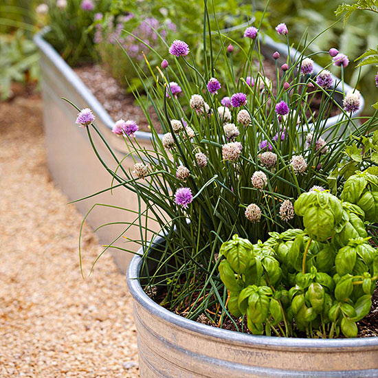 Raised Garden Bed Inspiration