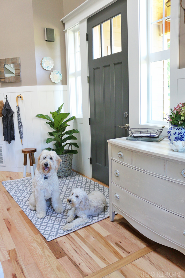 https://theinspiredroom.net/wp-content/uploads/2014/08/The-Inspired-Room-Entry-Jack-the-Goldendoodle-and-Lily-the-Australian-Labradoodle.jpg