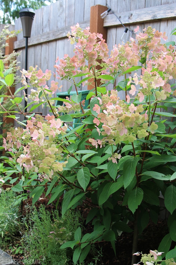 My Backyard Tour {Pea Gravel Patios, Flagstone & Secret Garden}