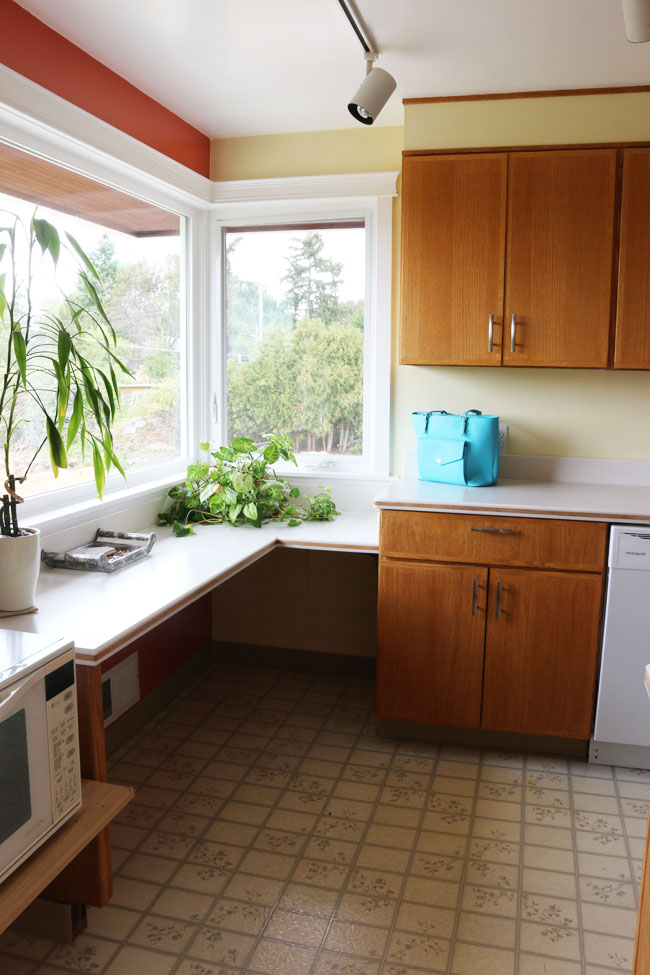 Low Window Behind Kitchen Sink Kitchen Appliances Tips 