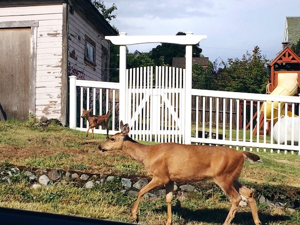 Port Townsend {Out to See}