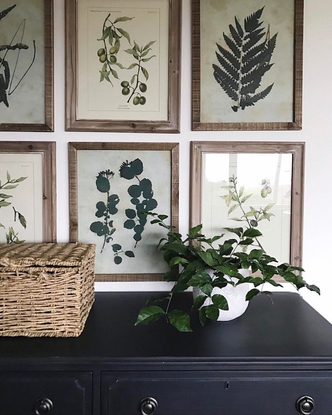 https://theinspiredroom.net/wp-content/uploads/2017/03/Botanical-Prints-The-Inspired-Room.jpg