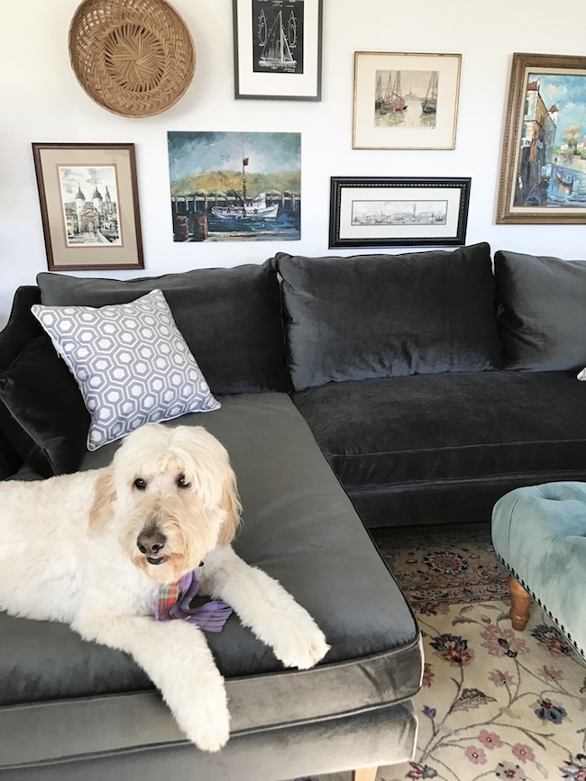 My New Interior Define Charly Sleeper Sofa | A Taste of Koko